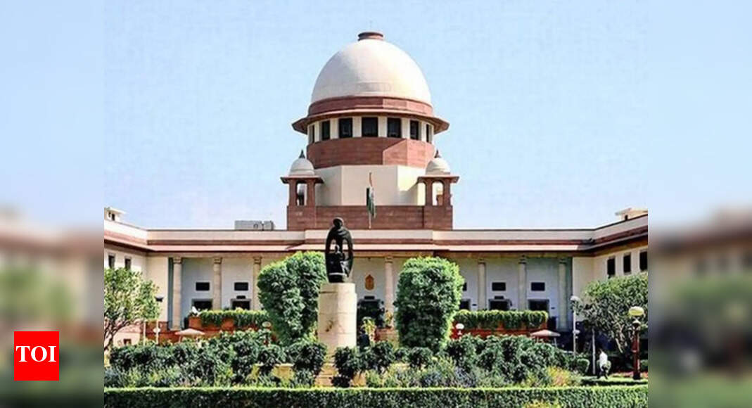 ‘Criminal cases can't have lifespan of turtle': Supreme Court on activist's trial delay