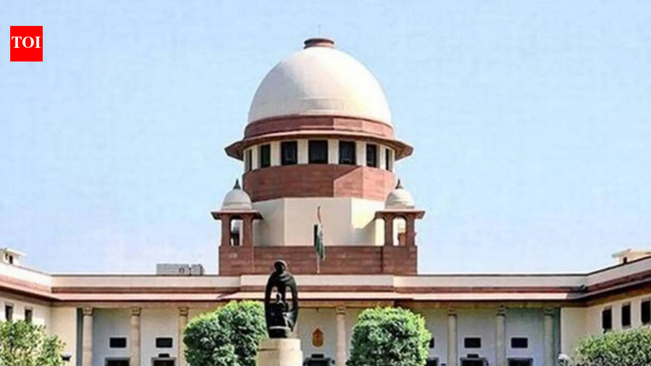 ‘Criminal cases can’t have lifespan of turtle’: Supreme Court on activist’s trial delay