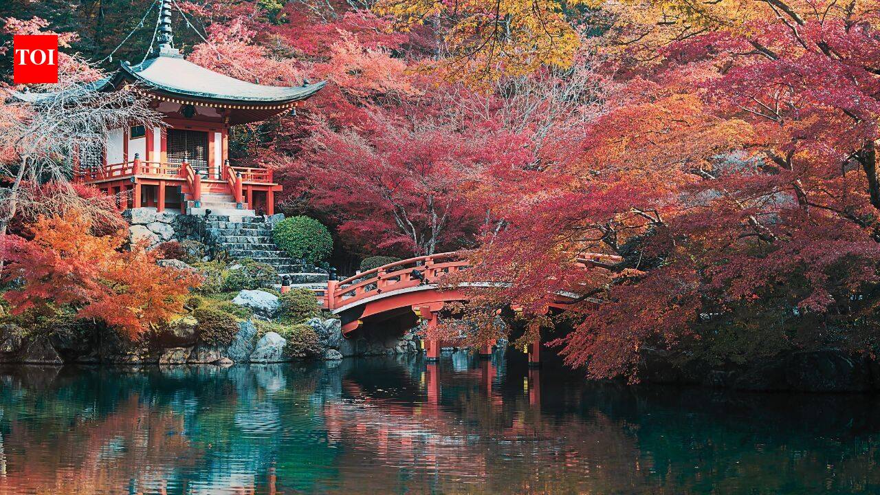 Indian Railways launches 10-day Japan tour from Delhi; package includes bullet train ride, Mt Fuji and Hiroshima from ₹3.46 lakh - The Times of India