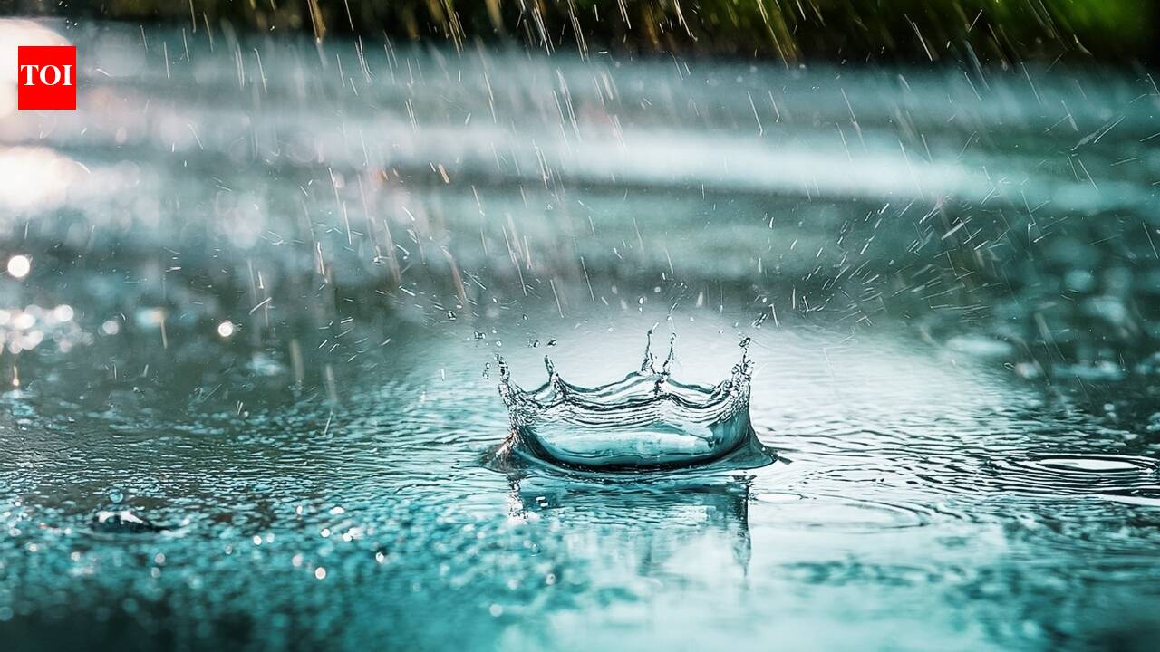 https://static.toiimg.com/thumb/msid-132981749,width-1280,height-720,resizemode-6,overlay-toi_sw,pt-32,y_pad-600/photo.jpg