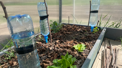 Do not throw away plastic bottles; turn them into useful household tools using these simple steps