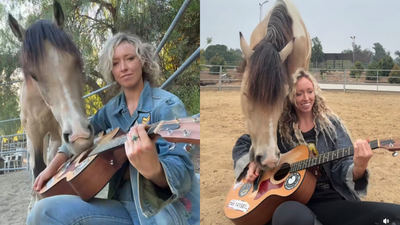 Los Angeles singer taught her rescue horse to play the guitar and harp, and now they are releasing an album together