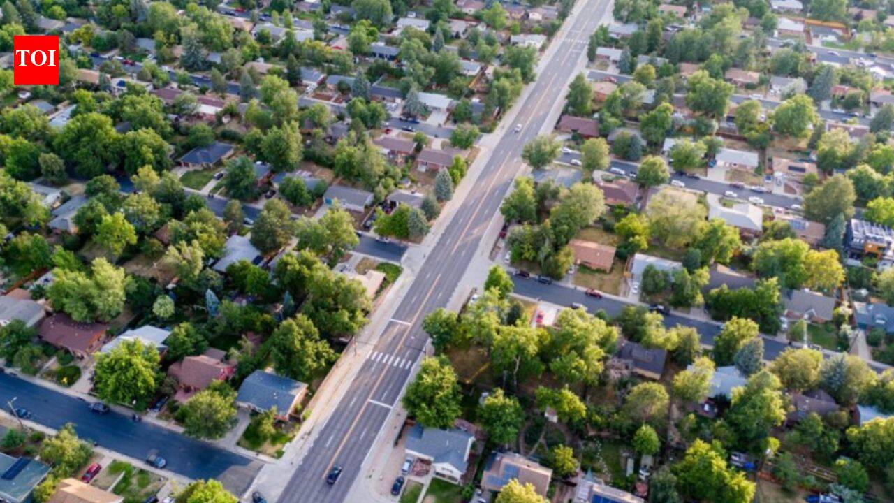 Chicago study links more urban tree cover to fewer deaths