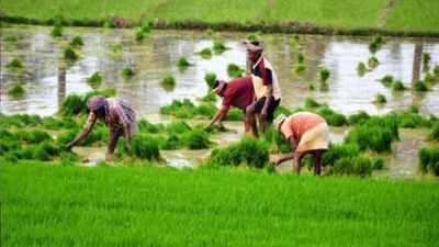Tamil Nadu budget 2026: Ambitious food grain targets set, aims to boost crop yields and expand irrigation