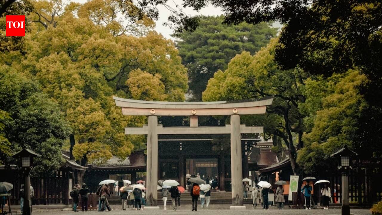 In 1915, Japan designed a forest that would build itself for 150 years; 110,000 volunteers planted 100,000 donated trees
