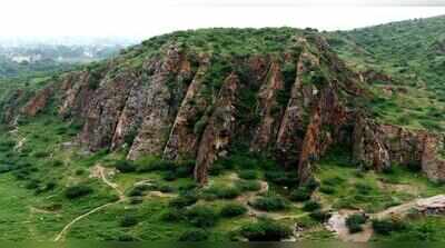 SC panel to start survey for Aravalis definition from Asola, Mangar Bani, biodiversity park