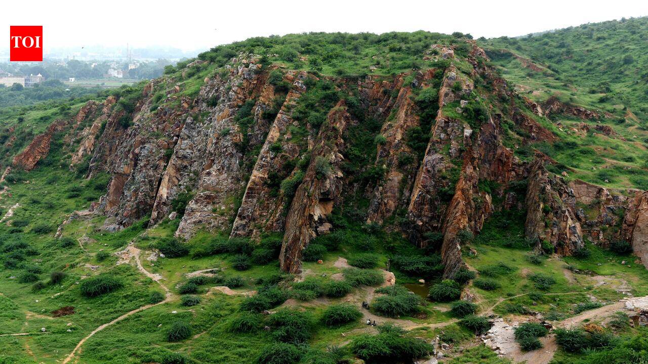 SC panel to start survey for Aravalis definition from Asola, Mangar Bani, biodiversity park