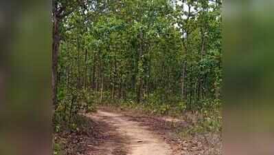 Science meets community: Biodiversity meet to document Purulia’s hidden natural wonders