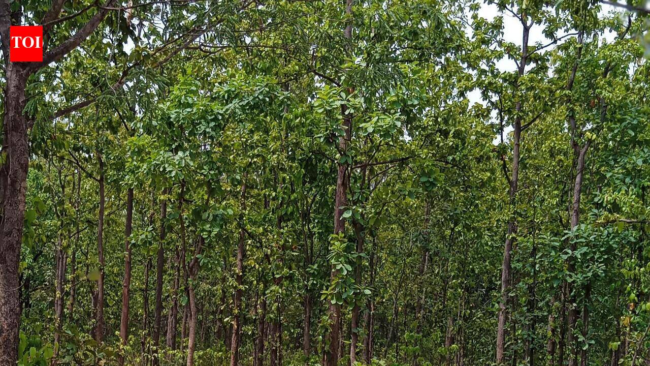 Science meets community: Biodiversity meet to document Purulia’s hidden natural wonders