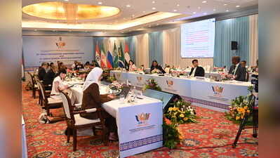 BRICS officials discuss ministers' declaration, education roadmap