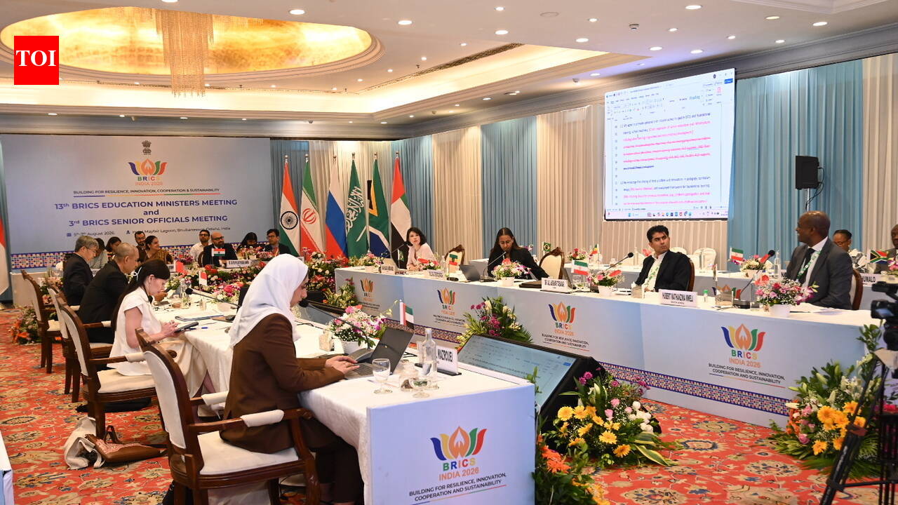 BRICS officials discuss ministers' declaration, education roadmap
