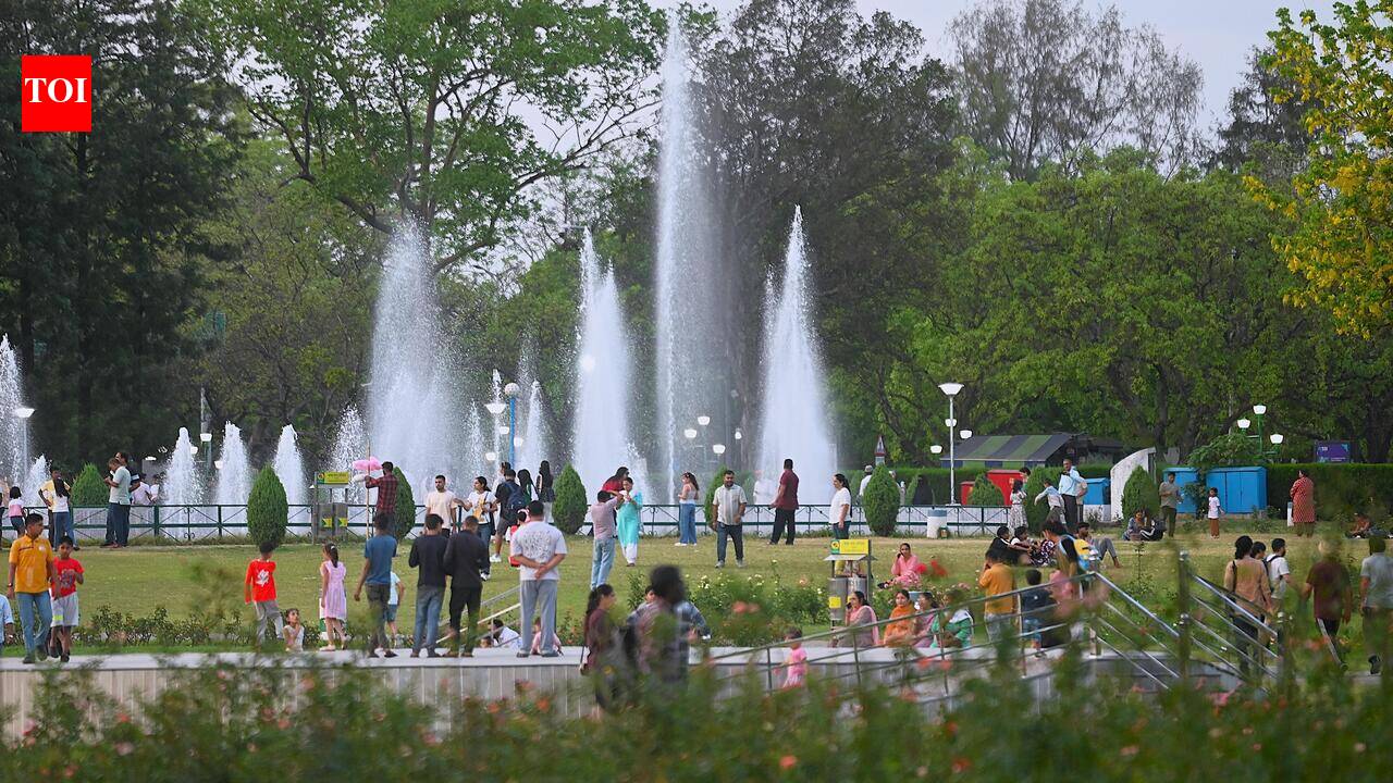 Among The Roses, Silence Blooms In Chandigarh