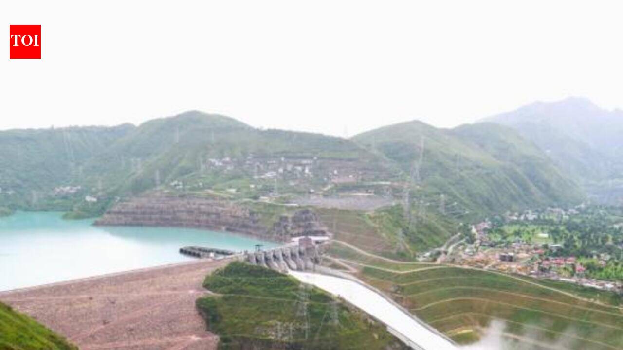 India’s pumped storage project pipeline swells to 24 GW | Chennai News  timesofindia.indiatimes.com