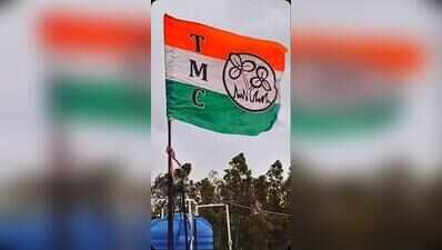 At Rs 191 crore, Trinamool received 2nd highest donations from 2023-25