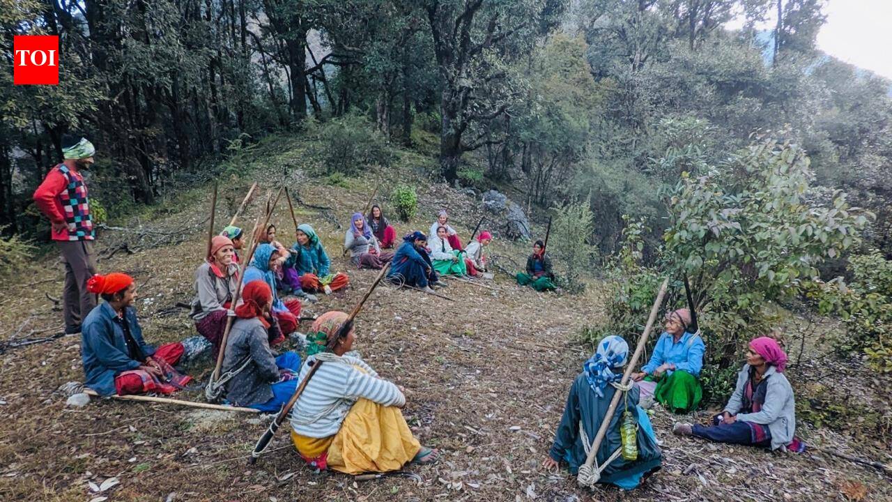 Colonial forestry, not communities, behind Himalayan wildfire risk: Study