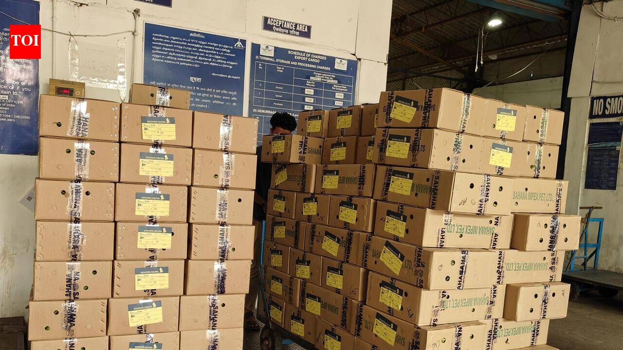 TNAPEx centre in Trichy to boost agro exports, freight movement