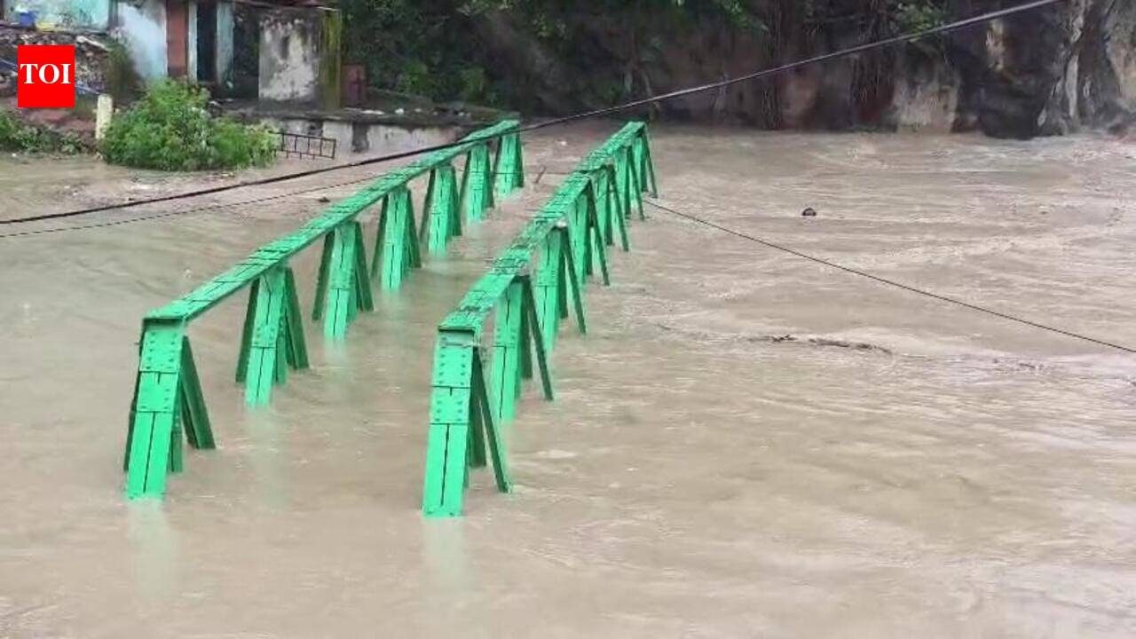 Alaknanda, Mandakini cross danger mark as heavy rain batters Uttarakhand; key highways blocked