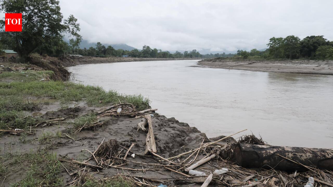 Nature’s wrath or human neglect? Buried by the Dikhow, villagers hunt for answers