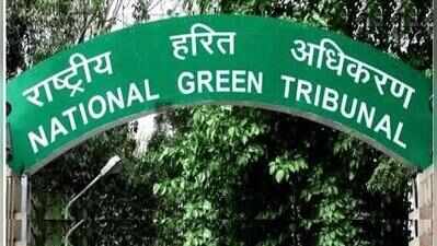 ‘Not serious in taking action’: NGT seeks report from Punjab in illegal mining case