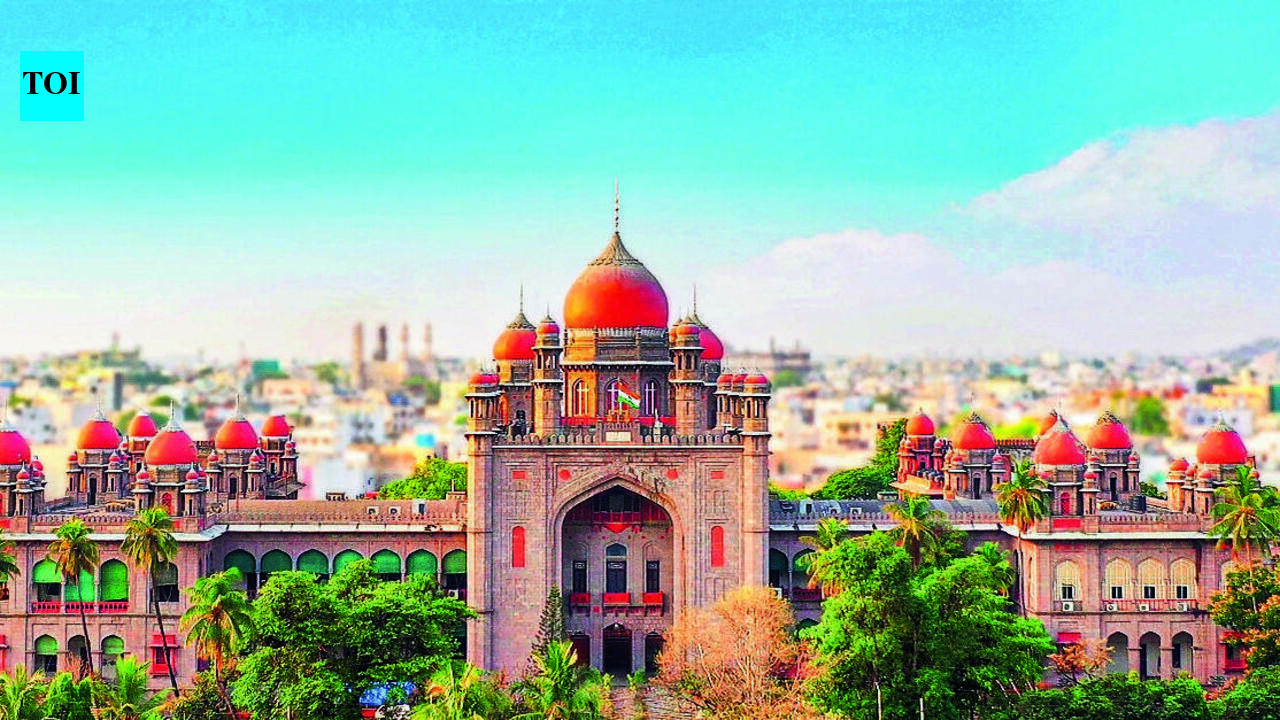 Is it a crime to approach courts? Telangana high court questions lack of notices in land disputes
