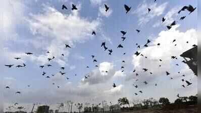 Ahmedabad experiences cloudy weather, may get rain this week