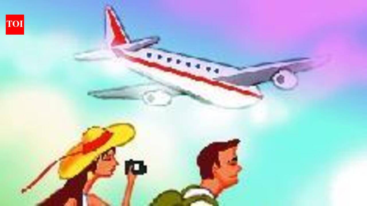 E-gate system will boost tourism: TTAG