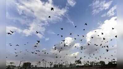 Wet weekend ahead: Light rain for Ahmedabad, heavy spells in parts of state