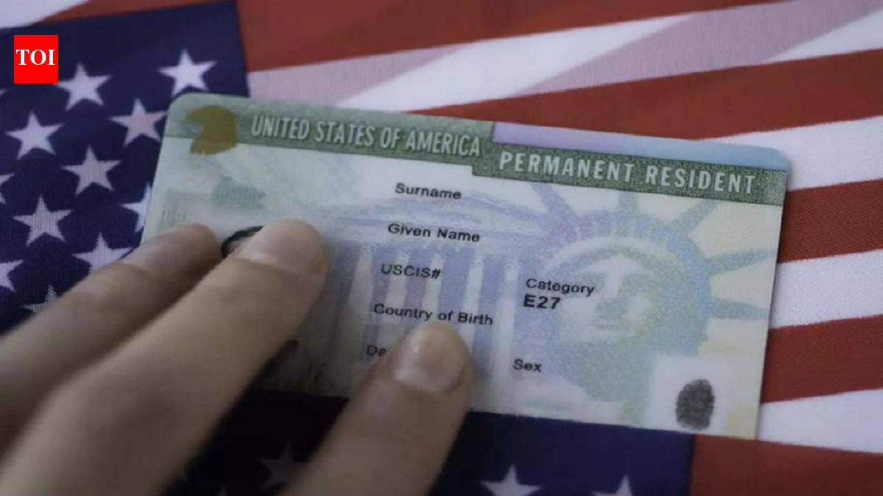'USCIS makes mistakes': Immigration expert breaks down new H-1B, Green Card rule, calls its another step in dismantling legal immigration