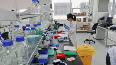 Patient dies in China biotech company’s gene editing trial