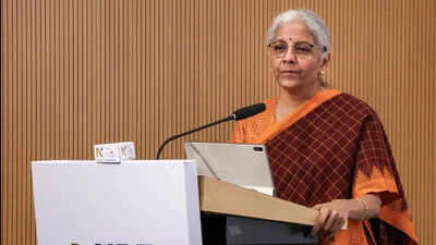 Next budget may see lowering of customs duties: FM