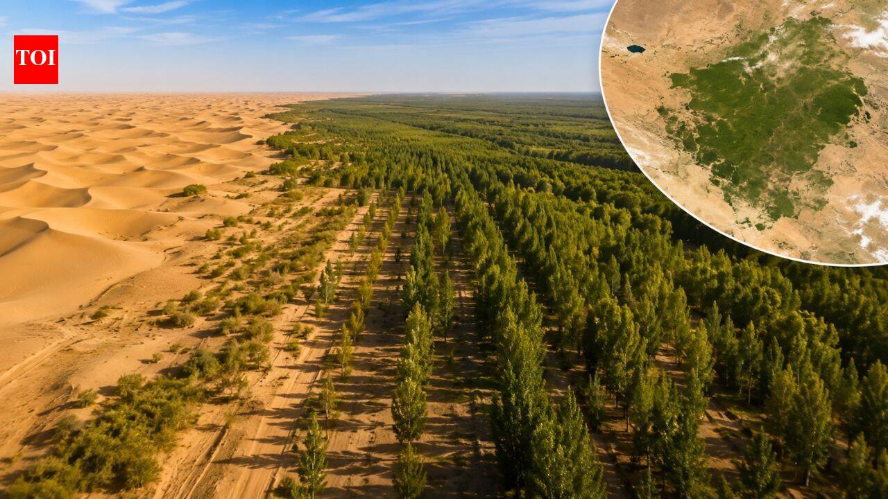 China's Taklamakan Desert is now capturing more carbon than it emits