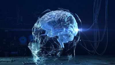 You won't believe what happens to your brain's immune system at 50!