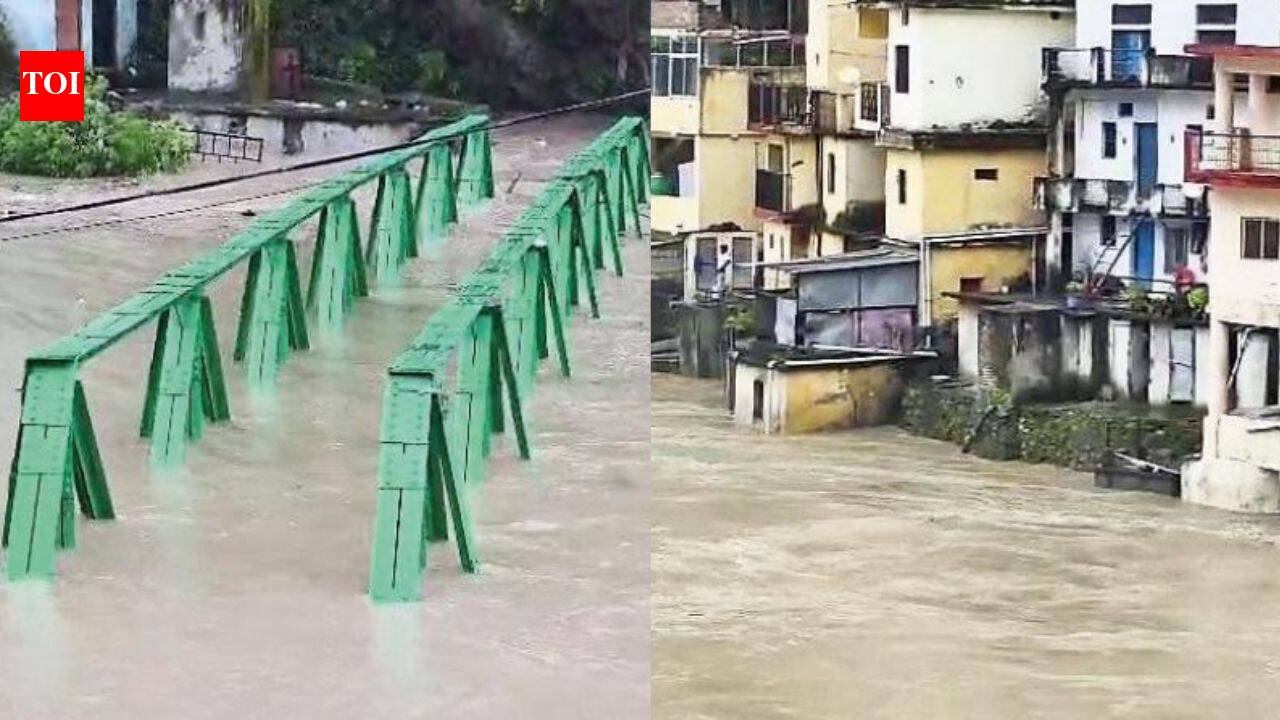Alaknanda, Mandakini cross danger mark as heavy rain batters Uttarakhand