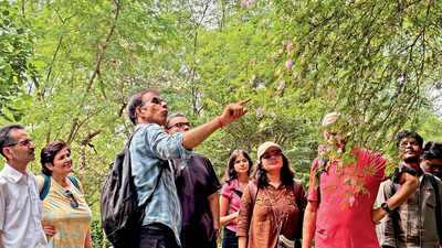Rain check? Not this weekend: Ditch the indoors for a brighter Delhi