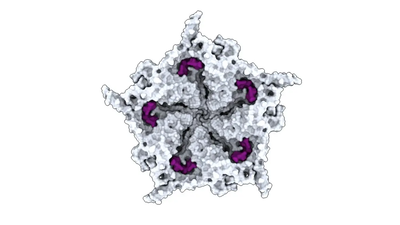 Scientists use AI to create new viruses; bringing worries of the tech creating biological weapons, deadly poisons and unstoppable pandemics
