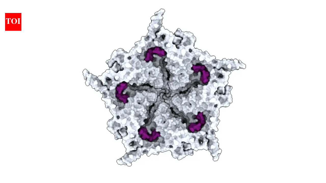 Scientists use AI to create new viruses; bringing worries of the tech creating biological weapons, deadly