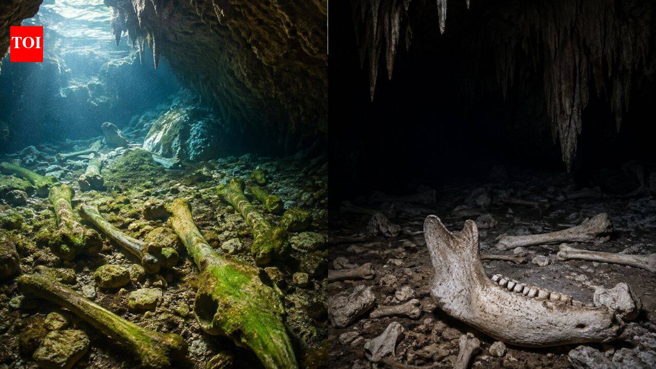 Scientists studied South Australia cave bones; light left algae marks, darkness preserved bones