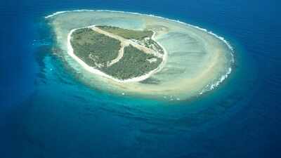 In 1969, an Australian pilot leased a coral island left barren by guano mining; he flew in drums of water for early plantings, helping begin a 50-year ecological recovery