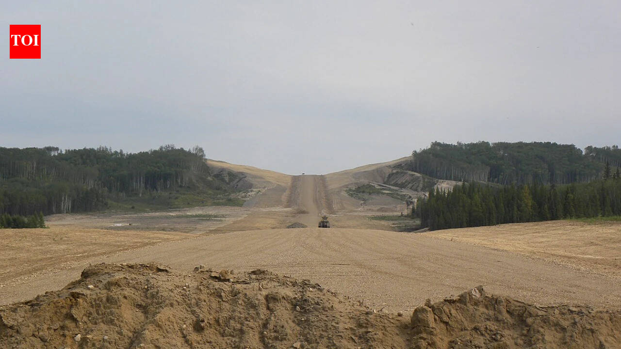 In 2024, a Canadian study found salvaged boreal forest topsoil supported 61 plant species on reclaimed oil sands sites within three years
