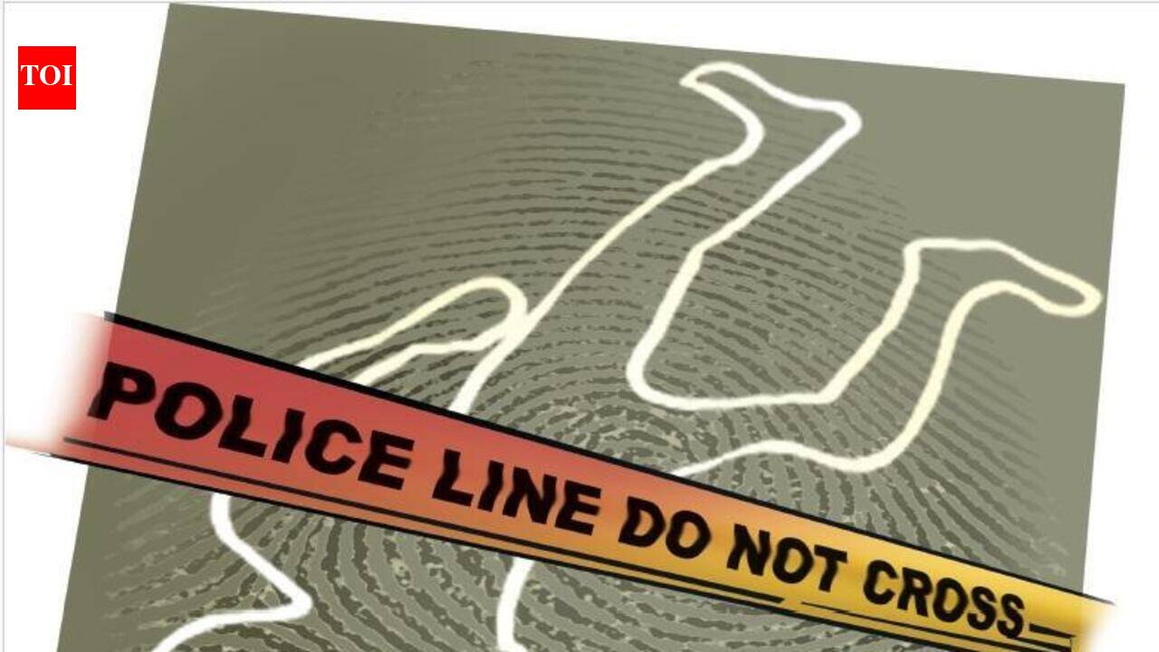 Panchkula’s grim picture: 11 murders in first 6 months