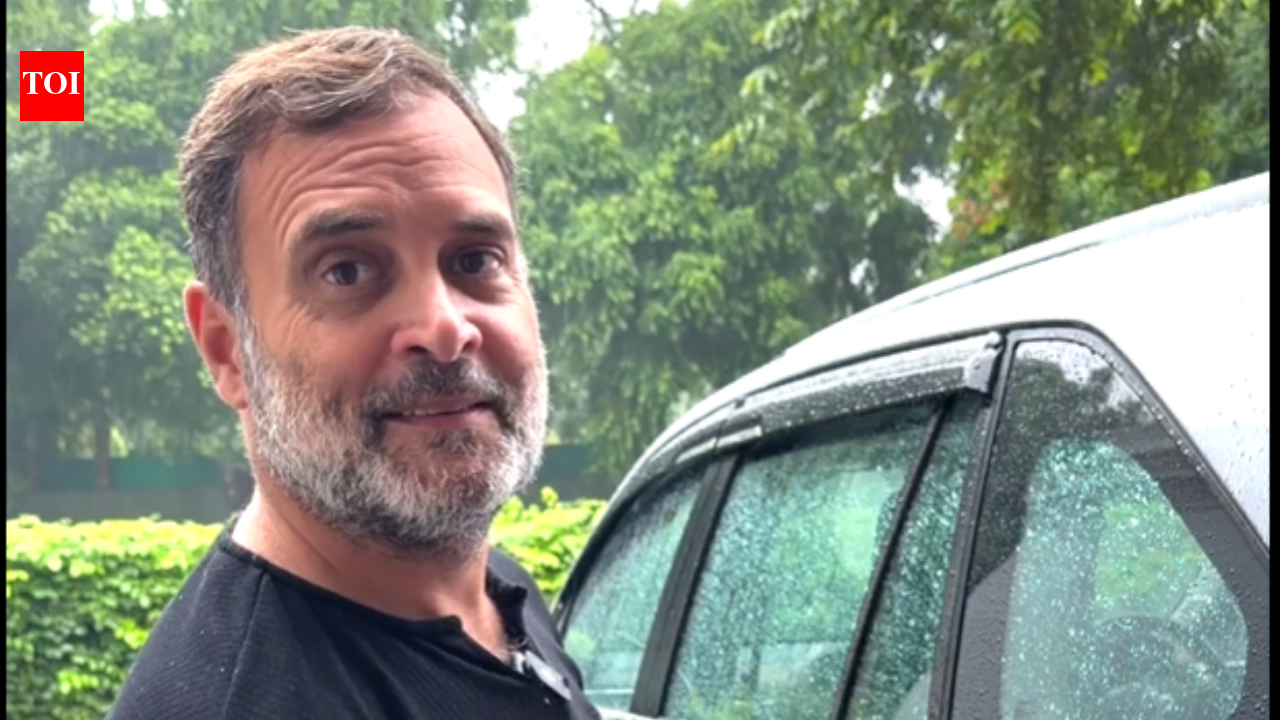 'Govt stealing money, destroying lives': Rahul Gandhi vows campaign against E20