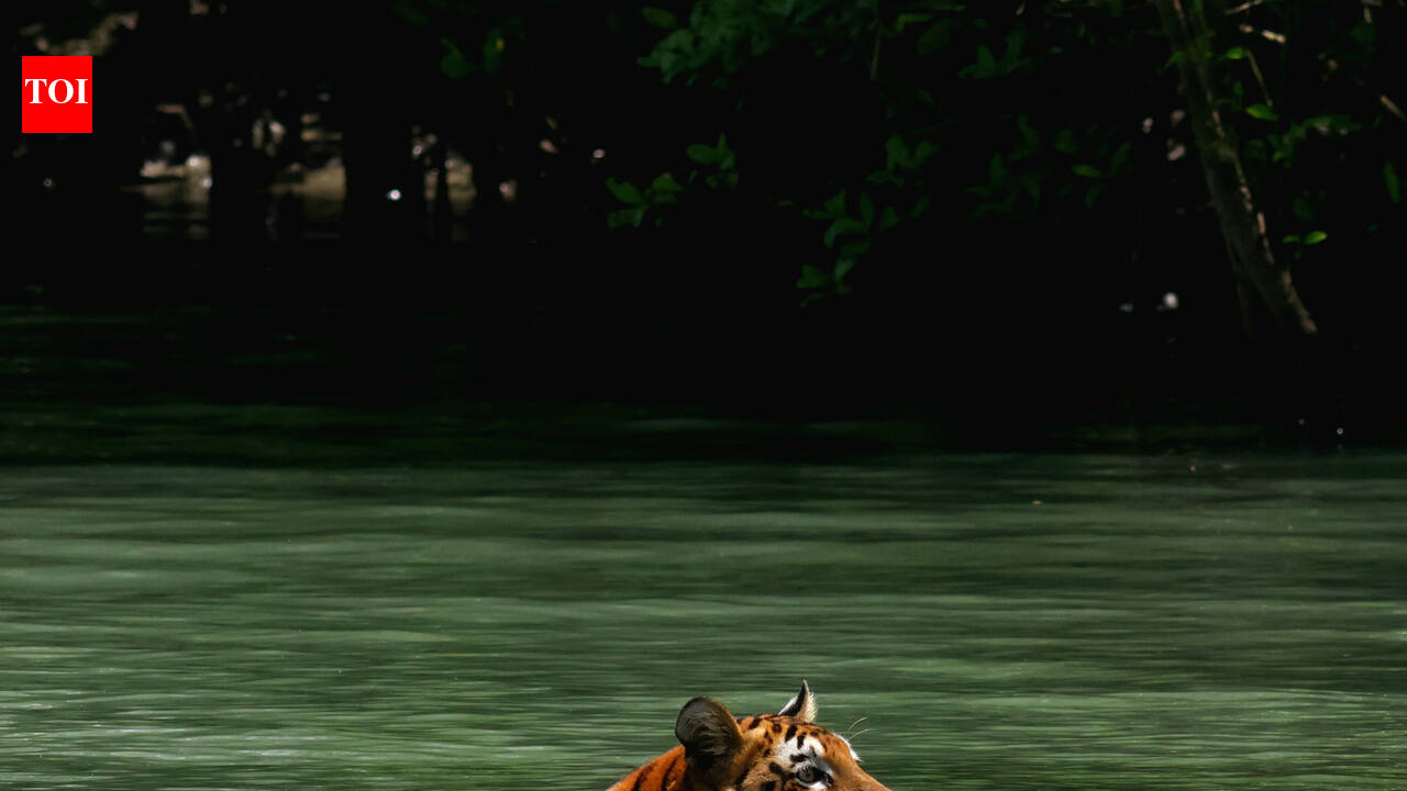 Bengal govt courts foreign investment to boost  tourism