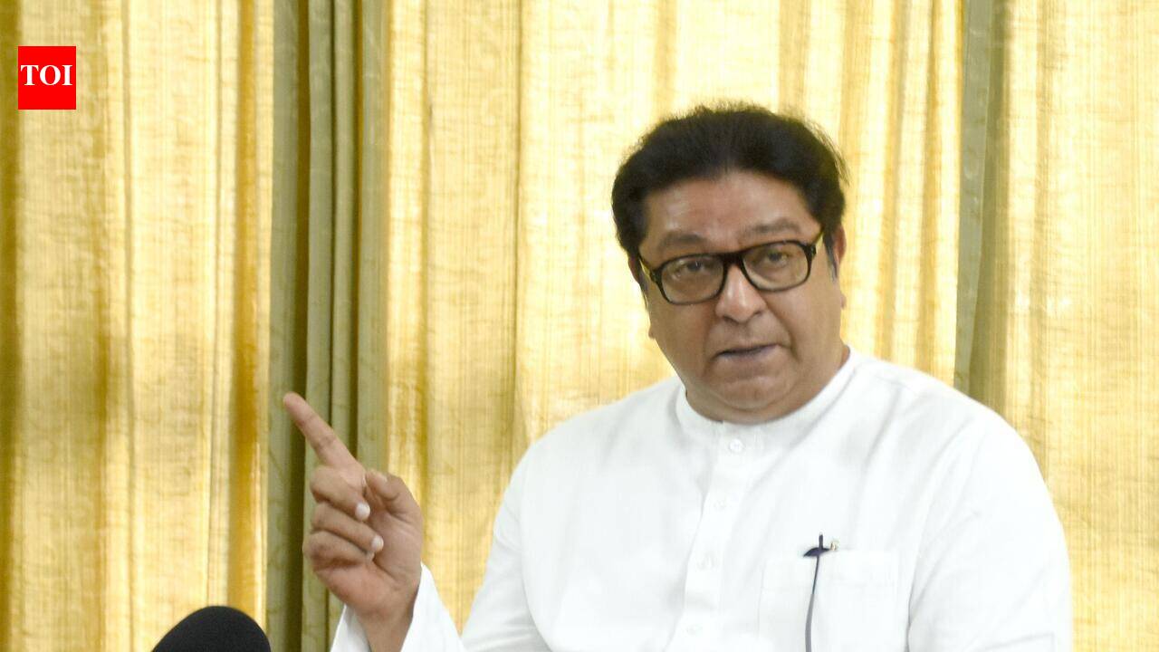 Jantar Mantar agitation just the beginning, youth anger will resurface if demands ignored, says Raj Thackeray as he presses for sweeping reforms