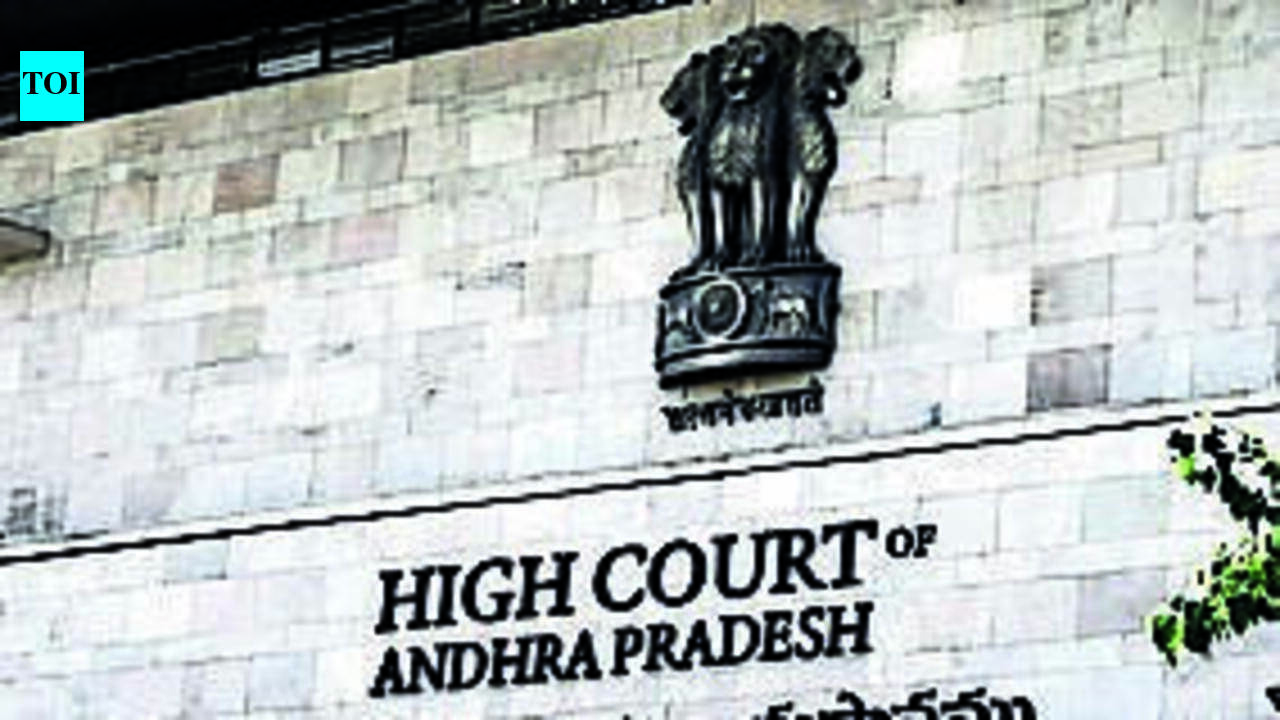 HC appoints amicus in stray dog case, seeks affidavits from authorities