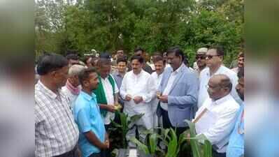 Dry spell, dimming hopes: Haveri farmers seek green drought tag