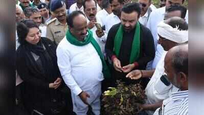 Green fields, poor harvest: Dharwad farmers feel rainfall shock
