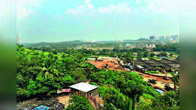 NCP(SP) questions Maharashtra govt on different take in Owale and Chitalsar forest cases