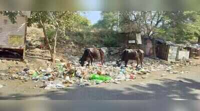 Garbage blackspots persist in Jaipur despite ‘resolved’ complaints on RajSampark