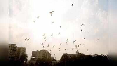 Light drizzle, cloudy skies keep Ahmedabad warm and humid on Aug 7