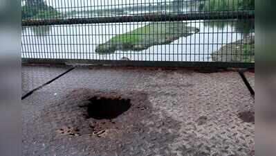 Damaged by floods, GDA to revamp bridge to city forest